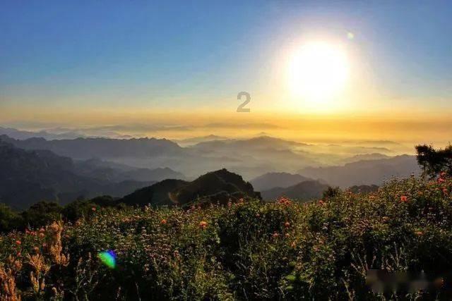沪江开心词场